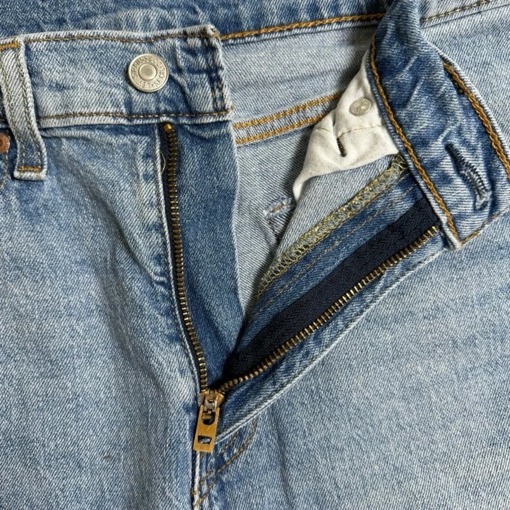 Levis levi strauss
